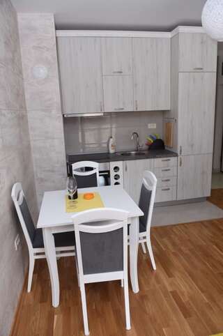 Апартаменты Impressive Apartment Никшич Апартаменты с 1 спальней-3