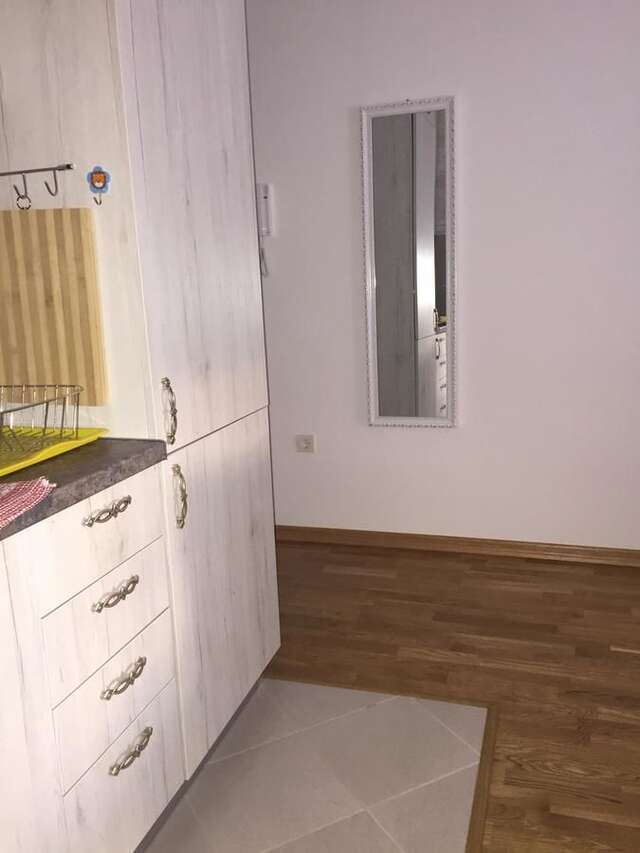 Апартаменты Impressive Apartment Никшич-9